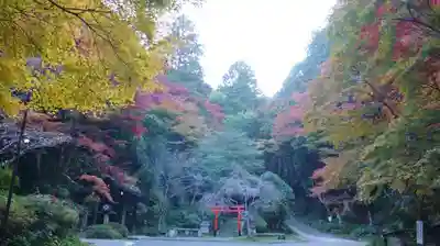 日向大神宮のその他建物