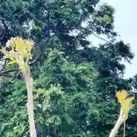 豊景神社の自然