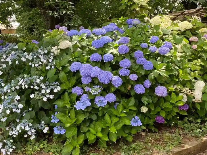 大宝八幡宮(茨城県)