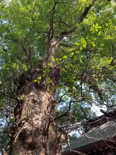 今宮神社(静岡県)