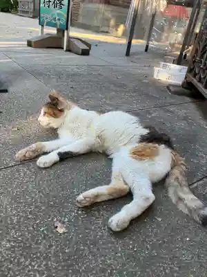 戸越八幡神社(東京都)