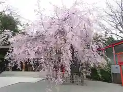 鈴鹿明神社(神奈川県)