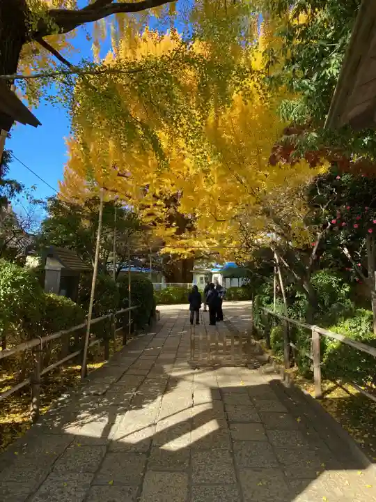 森巌寺(東京都)