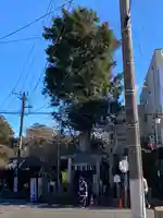 伊勢神社の自然