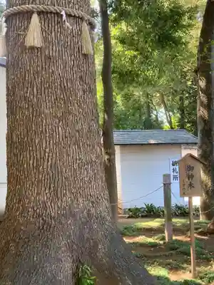 金ヶ作熊野神社(千葉県)