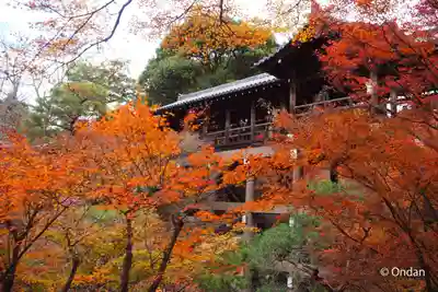 東福禅寺(東福寺)(京都府)