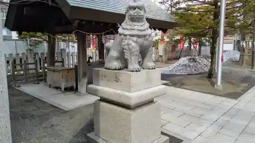 北海道神宮頓宮の狛犬