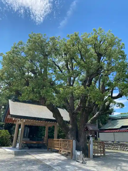和泉國一之宮 大鳥大社(大阪府)
