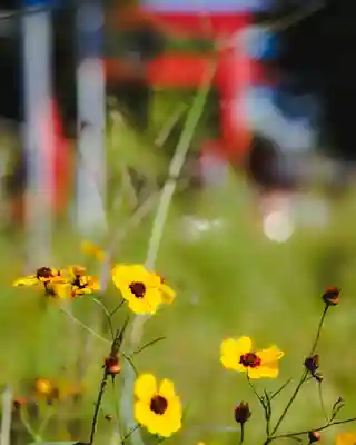 金峯神社(新潟県)