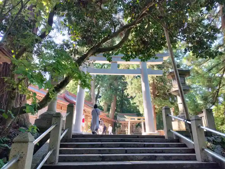 白山比咩神社の{uncategorized: "未分類", other: "その他", undefined: "問題あり", building: "その他建物", grave: "お墓", sacred_gate: "鳥居", guardian: "狛犬", statue: "像", buddha: "仏像", history: "歴史", nature: "自然", garden: "庭園", animal: "動物", pagoda: "塔", temizu: "手水舎", mountain_gate: "山門・神門", sanctuary: "本殿・本堂", subordinate: "末社・摂社", art: "芸術", scenery: "景色", jizo: "地蔵", ema: "絵馬", goshuin: "御朱印", omikuji: "おみくじ", items: "授与品その他", amulet: "お守り", goshuincho: "御朱印帳", eats: "食事", festival: "お祭り", votive_dance: "神楽", shichigosan: "七五三参", wedding: "結婚式", experience: "体験その他", initially: "初詣", around: "周辺", anti_infection: "感染症対策"}