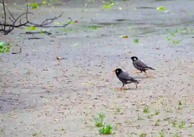 三津厳島神社(愛媛県)