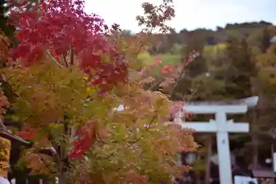 諏訪大社(長野県)