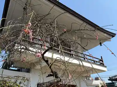 滝勝寺(兵庫県)