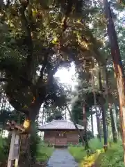 鹿島神社の本殿