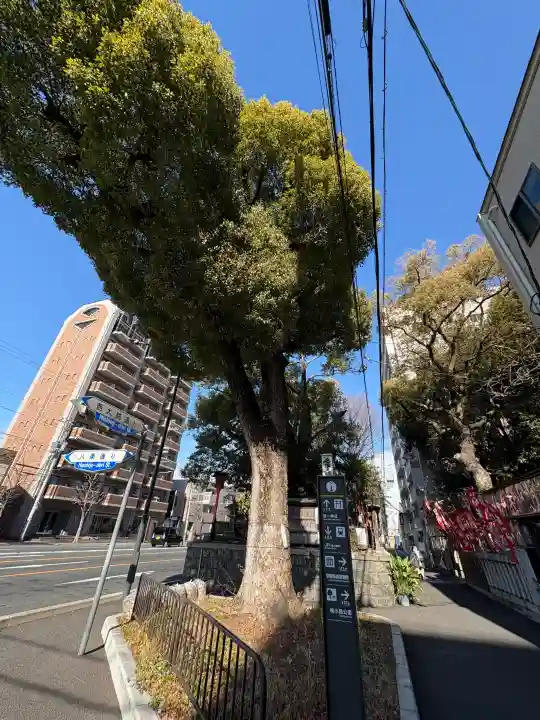 若一神社の{uncategorized: "未分類", other: "その他", undefined: "問題あり", building: "その他建物", grave: "お墓", sacred_gate: "鳥居", guardian: "狛犬", statue: "像", buddha: "仏像", history: "歴史", nature: "自然", garden: "庭園", animal: "動物", pagoda: "塔", temizu: "手水舎", mountain_gate: "山門・神門", sanctuary: "本殿・本堂", subordinate: "末社・摂社", art: "芸術", scenery: "景色", jizo: "地蔵", ema: "絵馬", goshuin: "御朱印", omikuji: "おみくじ", items: "授与品その他", amulet: "お守り", goshuincho: "御朱印帳", eats: "食事", festival: "お祭り", votive_dance: "神楽", shichigosan: "七五三参", wedding: "結婚式", experience: "体験その他", initially: "初詣", around: "周辺", anti_infection: "感染症対策"}