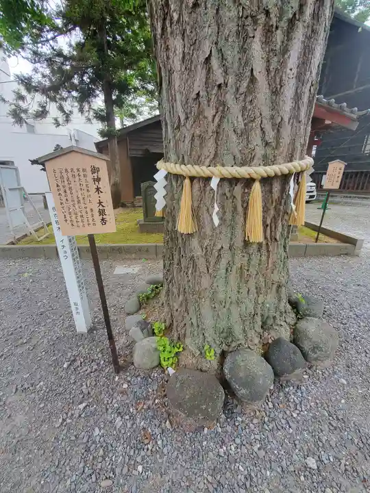 取手八坂神社(茨城県)