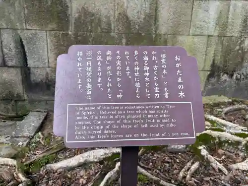 石清水八幡宮の{uncategorized: "未分類", other: "その他", undefined: "問題あり", building: "その他建物", grave: "お墓", sacred_gate: "鳥居", guardian: "狛犬", statue: "像", buddha: "仏像", history: "歴史", nature: "自然", garden: "庭園", animal: "動物", pagoda: "塔", temizu: "手水舎", mountain_gate: "山門・神門", sanctuary: "本殿・本堂", subordinate: "末社・摂社", art: "芸術", scenery: "景色", jizo: "地蔵", ema: "絵馬", goshuin: "御朱印", omikuji: "おみくじ", items: "授与品その他", amulet: "お守り", goshuincho: "御朱印帳", eats: "食事", festival: "お祭り", votive_dance: "神楽", shichigosan: "七五三参", wedding: "結婚式", experience: "体験その他", initially: "初詣", around: "周辺", anti_infection: "感染症対策"}