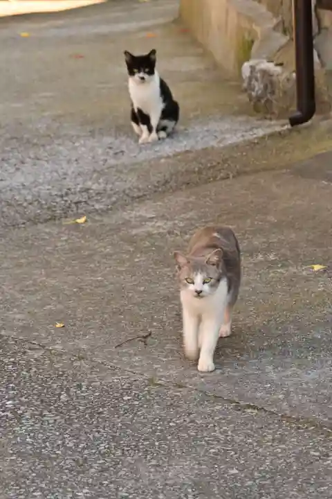 賀茂神社(愛媛県)