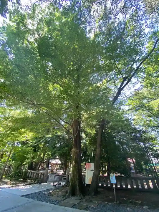 布多天神社の自然