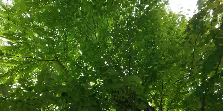 梨木神社(京都府)