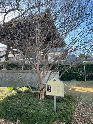 上宮寺(愛知県)