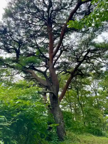 麓山神社(福島県)