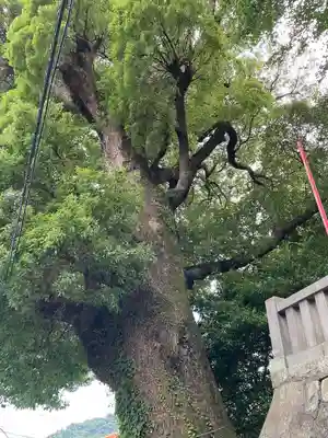 産土八幡神社(神奈川県)