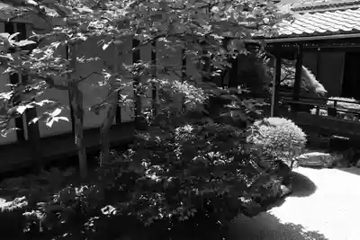 観智院（東寺子院）の庭園