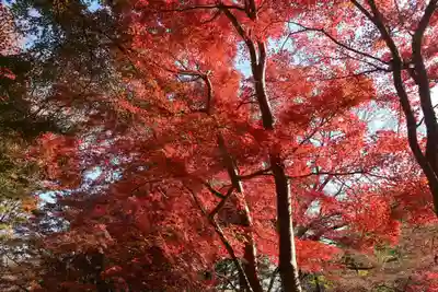 神應寺(京都府)
