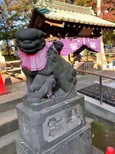 妙法寺の狛犬