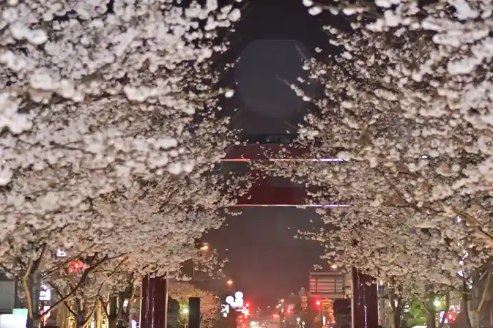 鶴岡八幡宮の自然