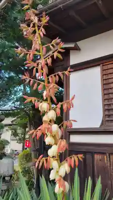 地蔵寺(愛知県)