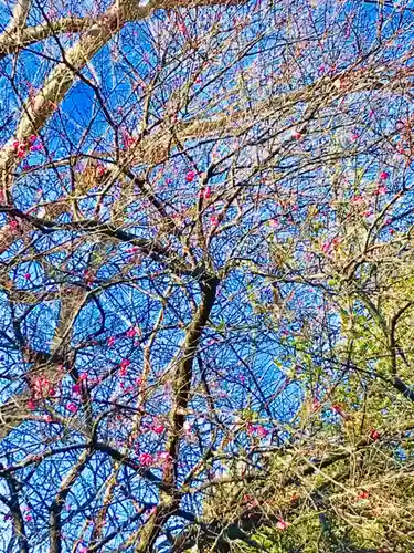 鹿島神社の自然