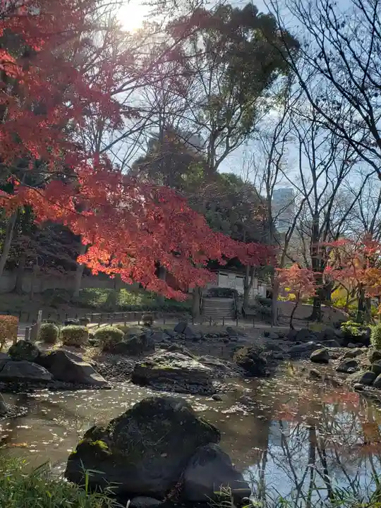 増上寺塔頭 三縁山 宝珠院の庭園