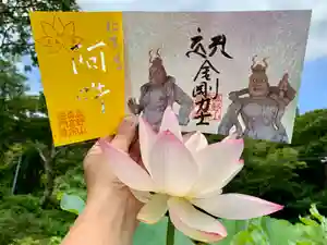 普門寺(切り絵御朱印発祥の寺)の御朱印(2021年07月26日(月) 11時25分35秒投稿)