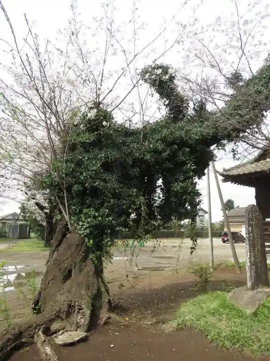 伏木香取神社(茨城県)