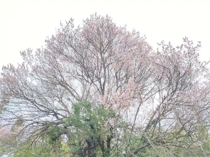 蓮蔵寺(福島県)