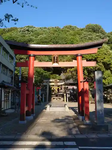 岐阜信長神社（橿森神社境内摂社）の鳥居