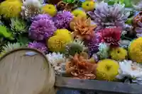 岳温泉神社 の手水舎