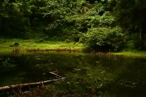 郡殿の池弁財天社(新潟県)