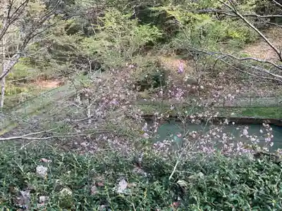 吉祥寺(岐阜県)