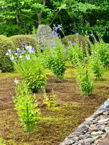天得院(京都府)