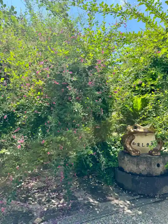 勝念寺(かましきさん)(京都府)