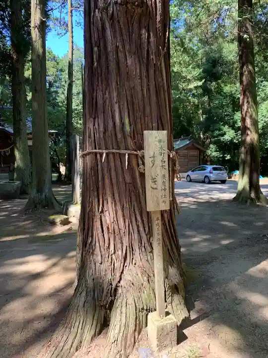 根渡神社の自然