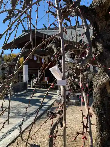 竹生島神社分宮の本殿