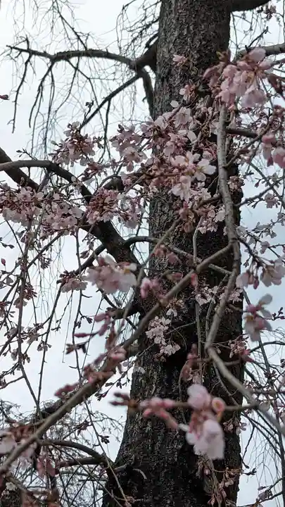 満願寺(京都府)