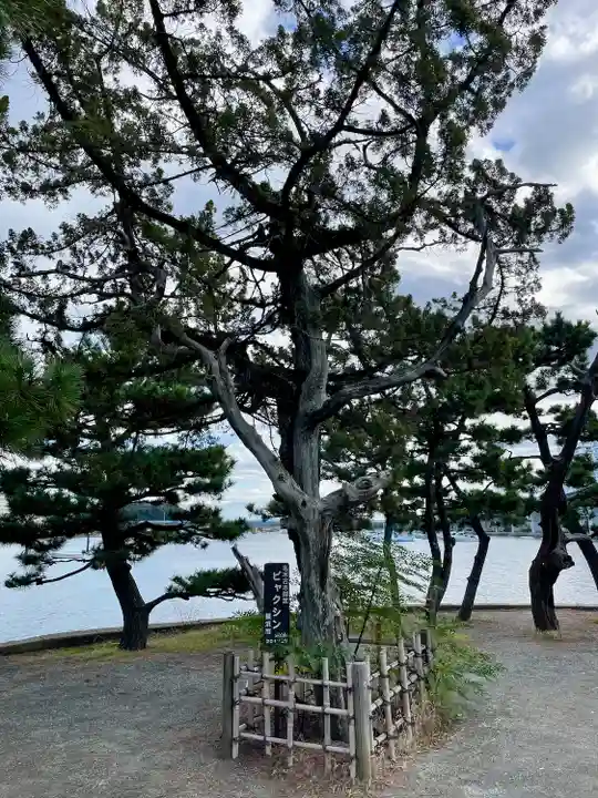 琵琶島神社(神奈川県)