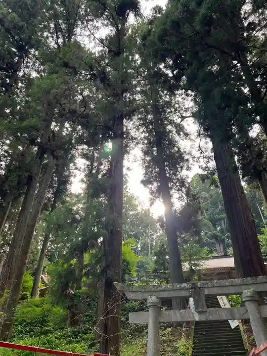 大宮温泉神社(栃木県)