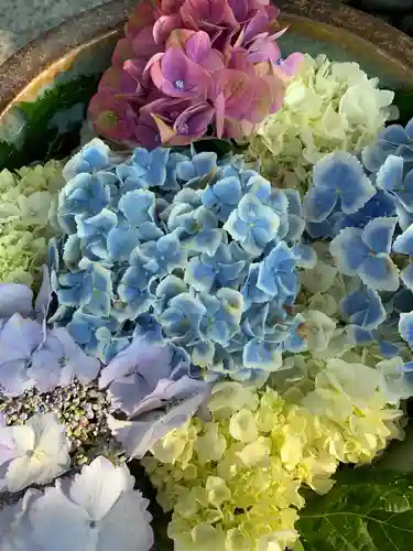 彌都加伎神社の手水舎