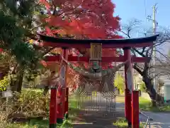 大星神社の鳥居